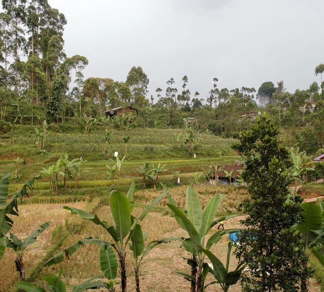 From Local Operations to Global Authority